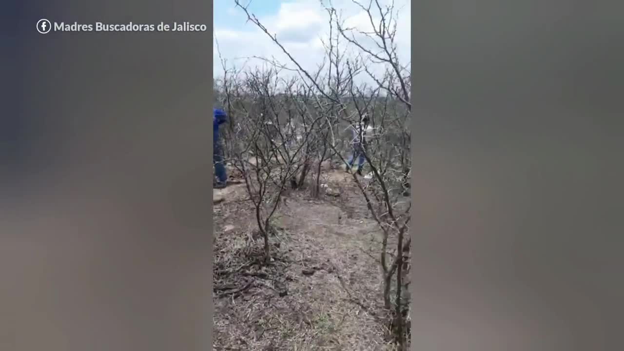 Videos | Madres Buscadoras de Jalisco localizan más de 20 cuerpos en fosa  clandestina | Aristegui Noticias