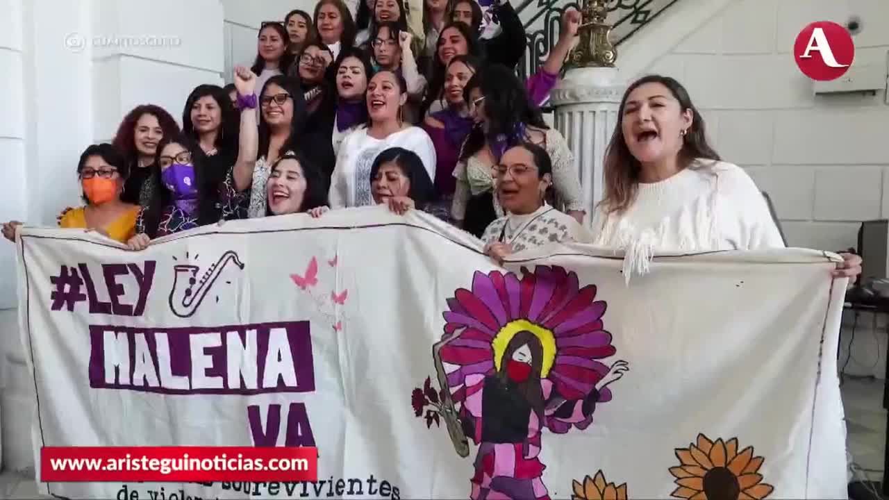 Ley Malena incluye a mujeres trans y de otros grupos vulnerables: Elena  Ríos | Video | Aristegui Noticias